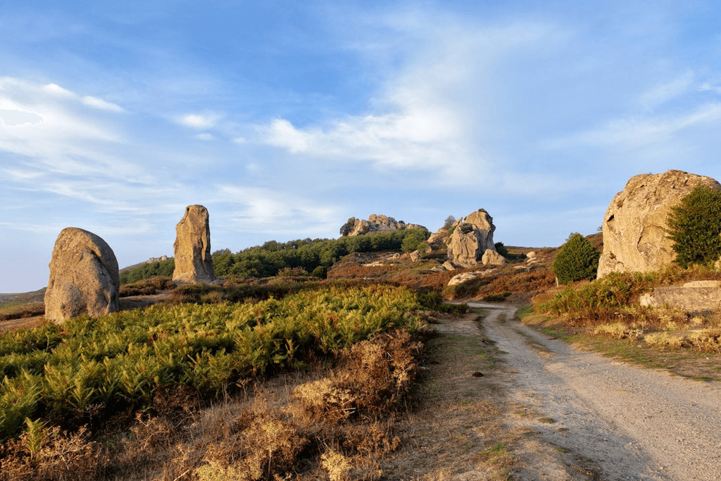 Globest Tour Operator
